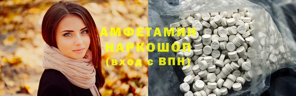 шишки Арсеньев
