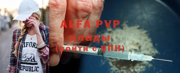 шишки Арсеньев