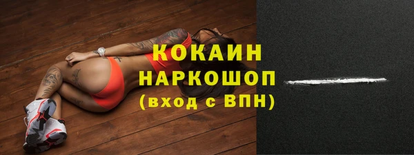 шишки Арсеньев