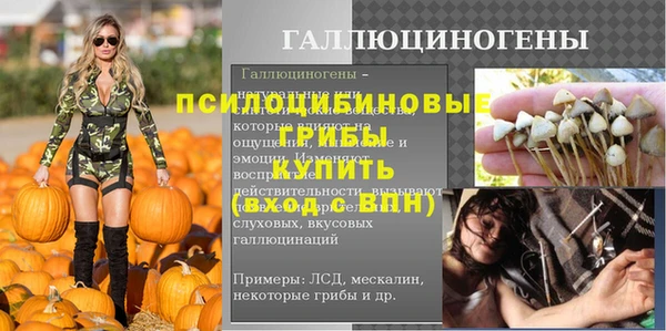 шишки Арсеньев