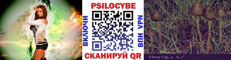 наркошоп Темников Галлюциногенные грибы Psilocybe